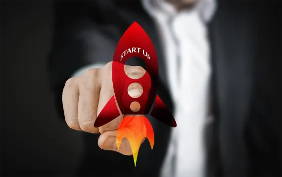 Vivemon Casino Suporte